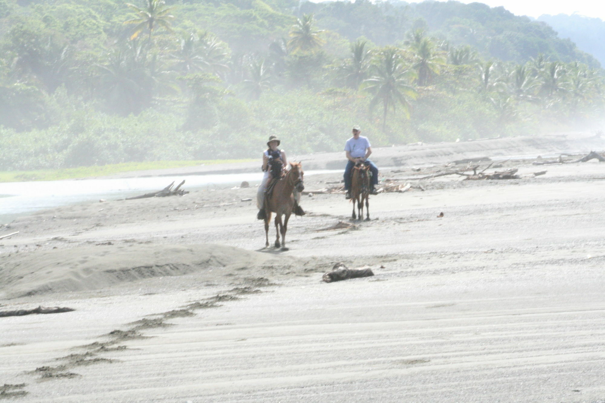 Bosque Del Cabo Rain Forest Lodge ปัวร์โตคิมาเนซ ภายนอก รูปภาพ