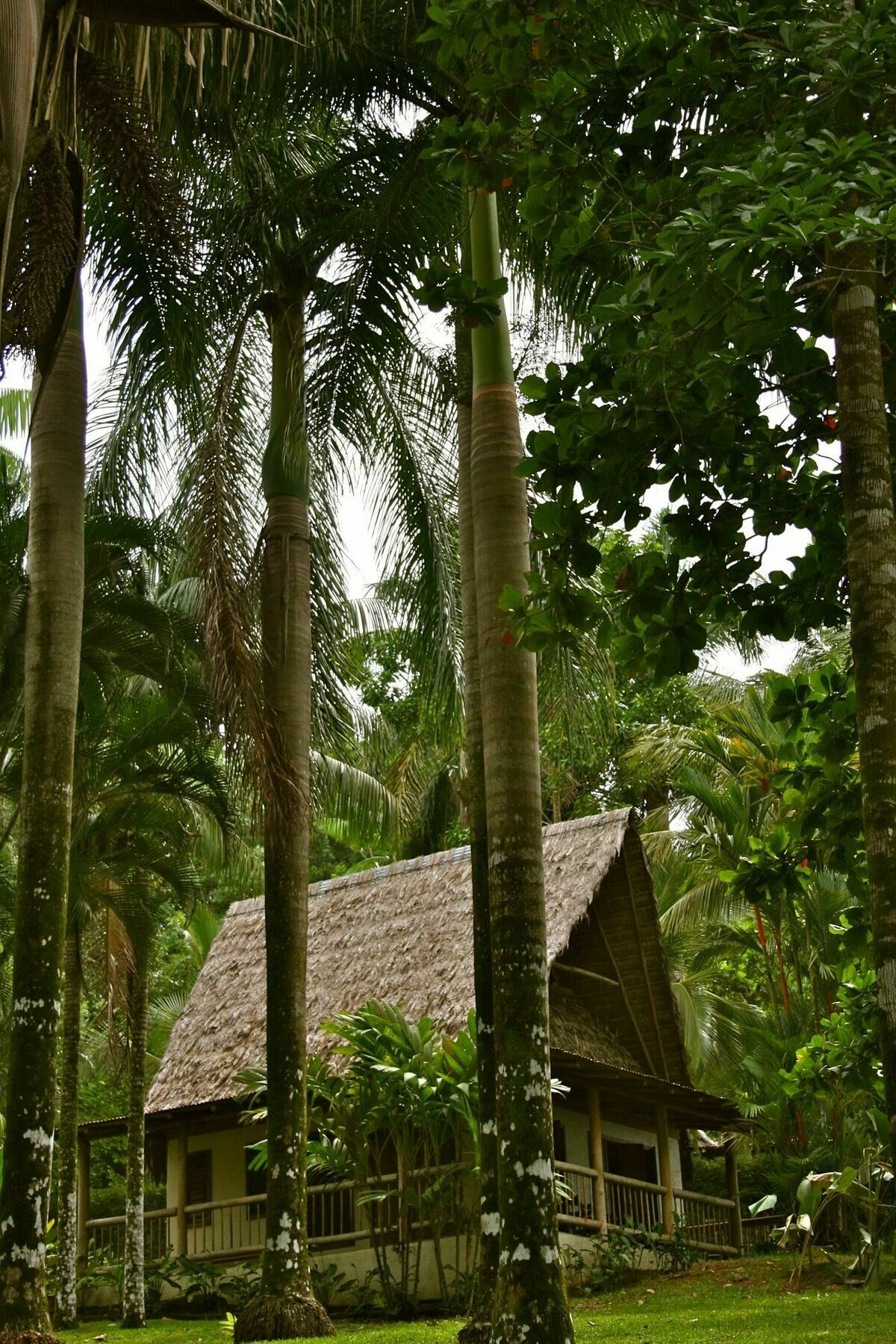 Bosque Del Cabo Rain Forest Lodge ปัวร์โตคิมาเนซ ภายนอก รูปภาพ