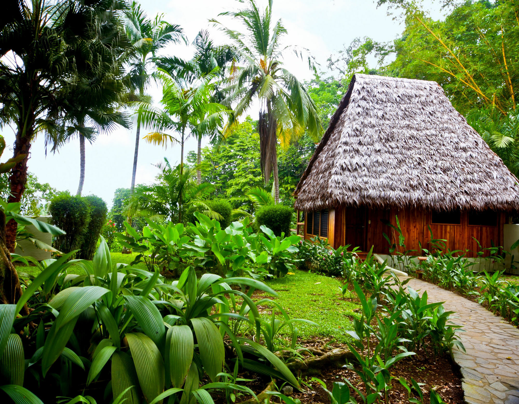 Bosque Del Cabo Rain Forest Lodge ปัวร์โตคิมาเนซ ภายนอก รูปภาพ